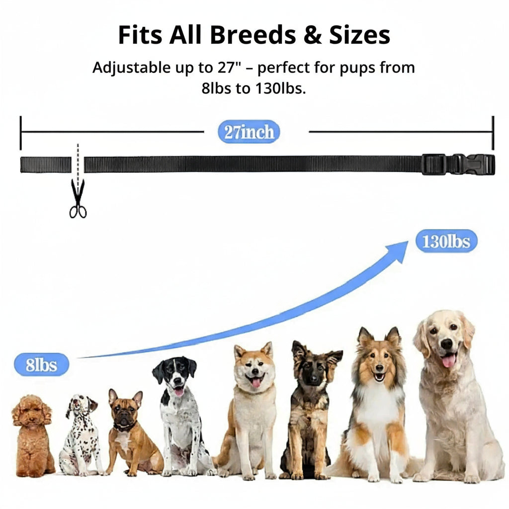 1000m Rechargeable Waterproof Dog Training Collar with Remote Control, view 3