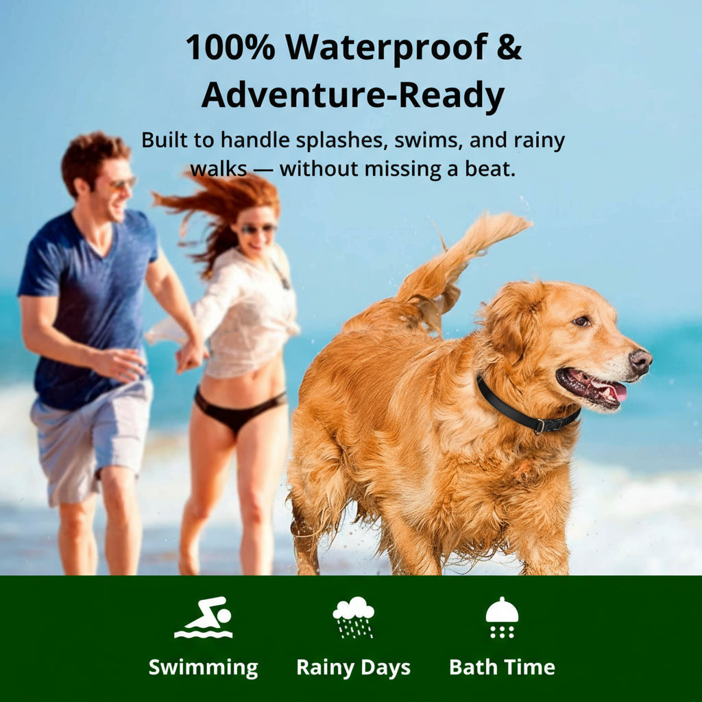 1000m Rechargeable Waterproof Dog Training Collar with Remote Control, view 4