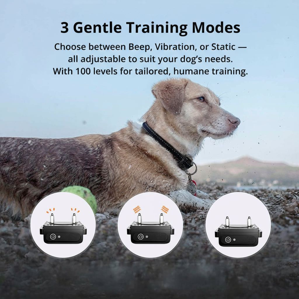 1000m Rechargeable Waterproof Dog Training Collar with Remote Control, view 6
