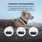 1000m Rechargeable Waterproof Dog Training Collar with Remote Control, view 6