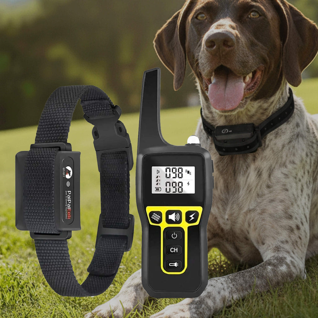 1000m Rechargeable Waterproof Dog Training Collar with Remote Control