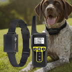 1000m Rechargeable Waterproof Dog Training Collar with Remote Control
