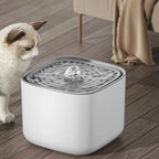 3L PP Plastic Pet Water Fountain, 24V USB, 17.9 x 17.9 x 13 cm, view 6