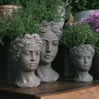 Artful Plant Sculptures | High & Bury
