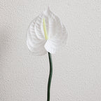 Artificial Anthurium Molded Plastic | High & Bury
