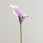 Artificial Calla Blossom Branch with Realistic Details | High & Bury