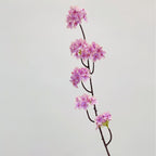 Artificial Cherry Blossom Branch | High & Bury