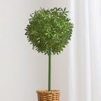 Artificial Flower Arrangement Molded Plastic | High & Bury