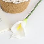 Artificial Flower White Brown | High & Bury