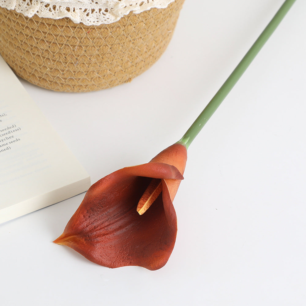 Artificial Flower White Brown | High & Bury