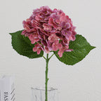 Artificial Hydrangea Bouquet Beige Light Brown | High & Bury