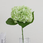 Artificial Hydrangea Bouquet Beige Light Brown | High & Bury