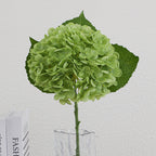 Artificial Hydrangea Bouquet Beige Light Brown | High & Bury