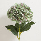 Artificial Hydrangea Branch with Detailed Flowers | High & Bury