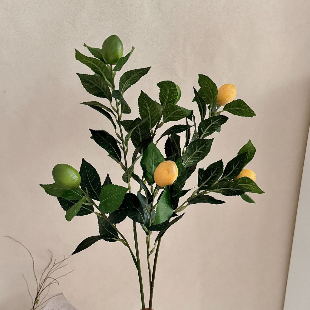 Artificial Lime Branch | High & Bury