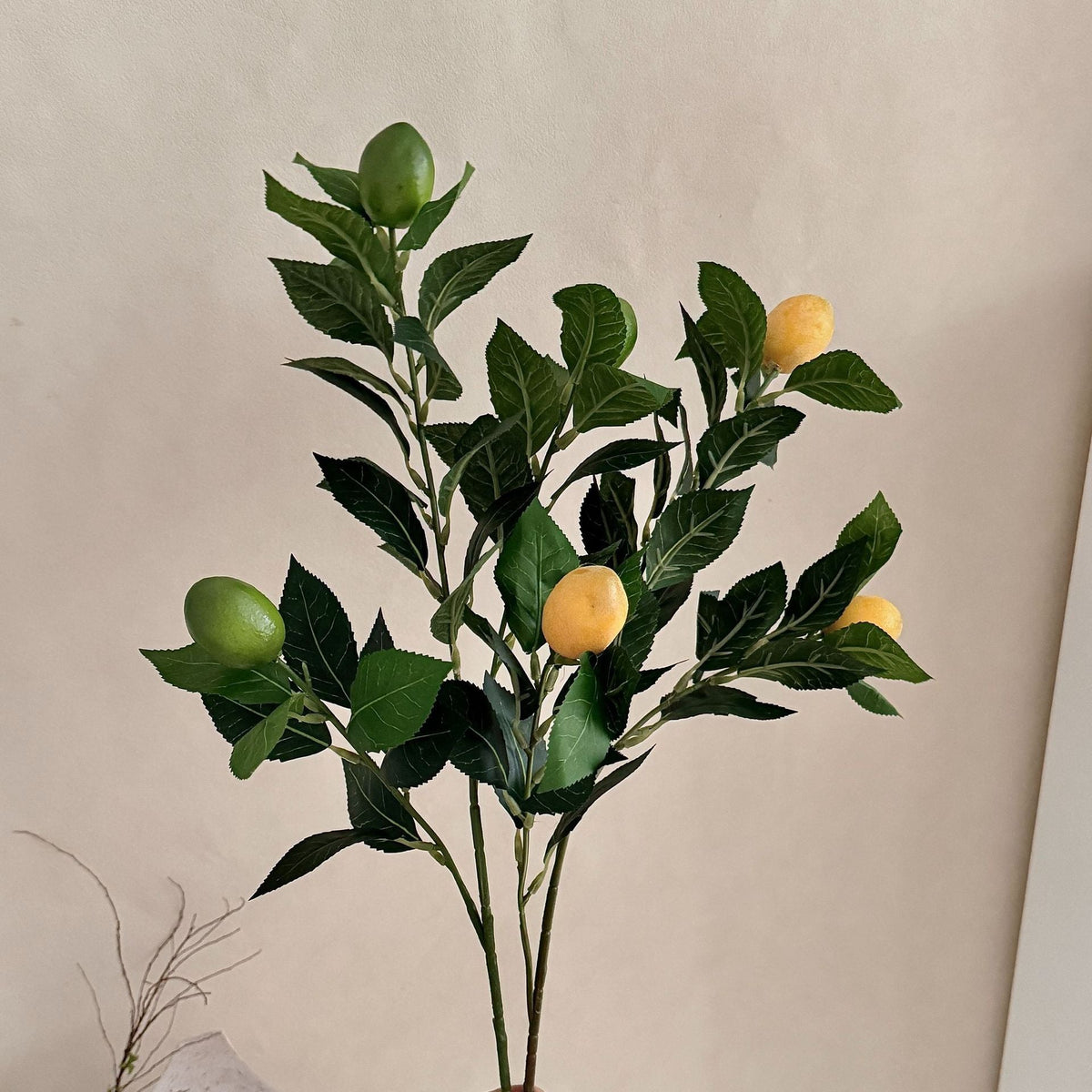 Artificial Lime Branch | High & Bury