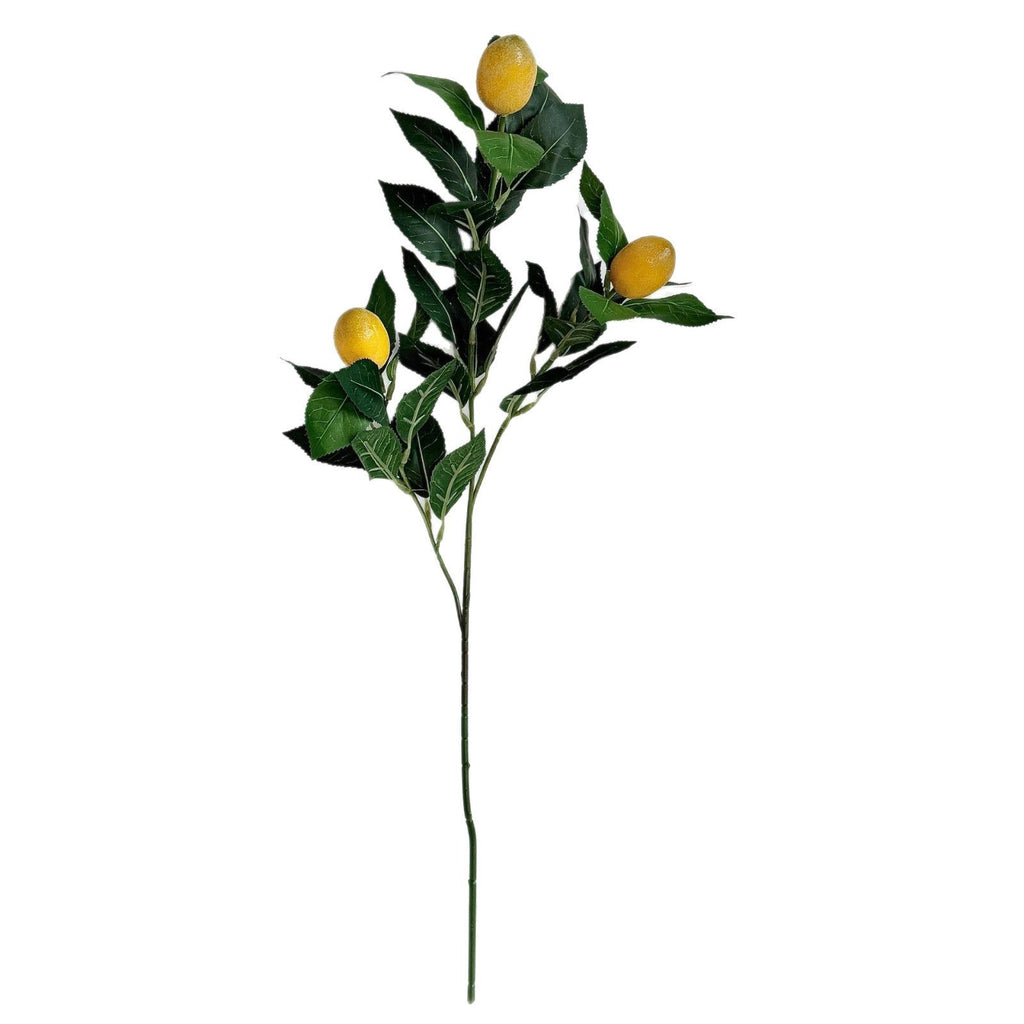 Artificial Lime Branch | High & Bury