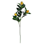 Artificial Lime Branch | High & Bury