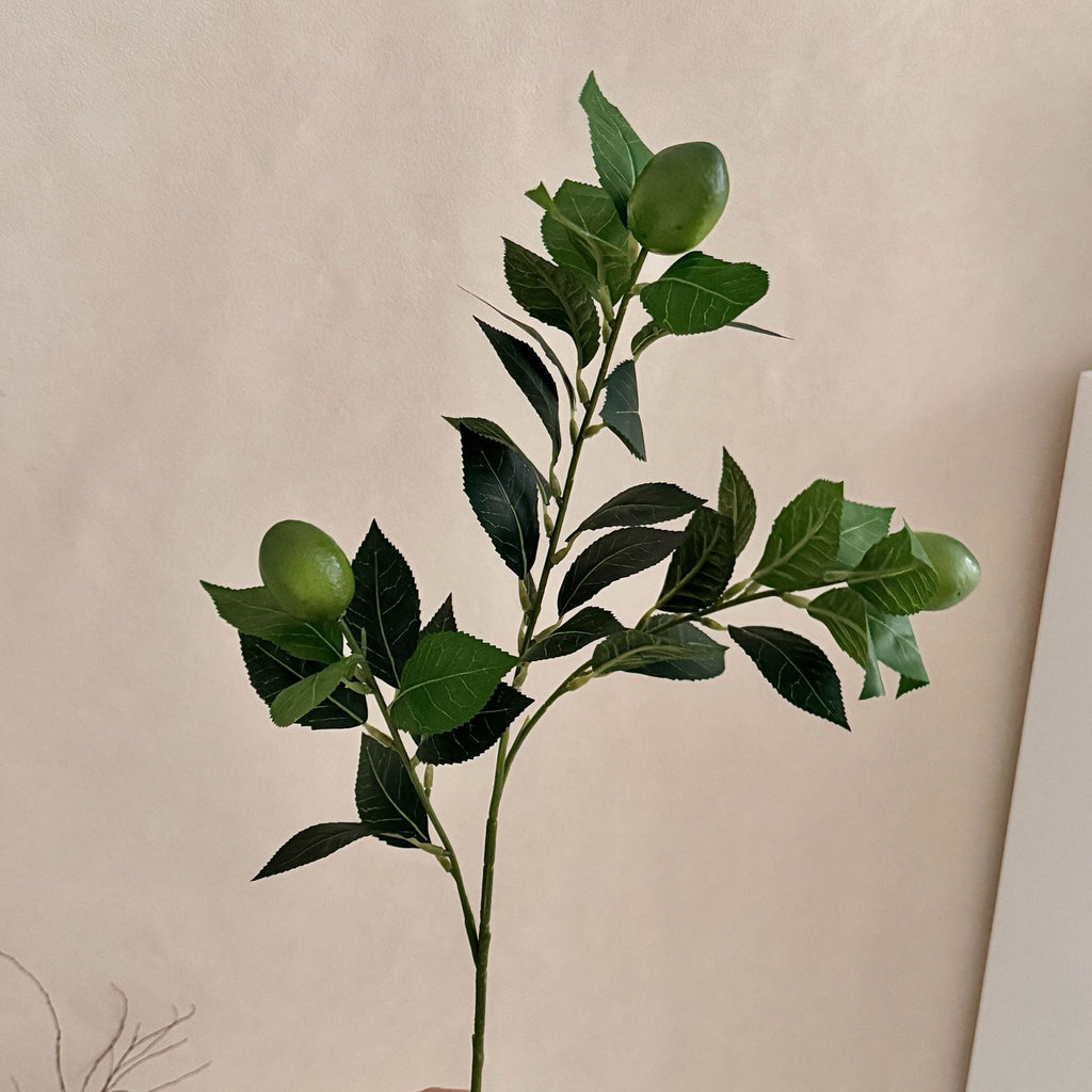 Artificial Lime Branch | High & Bury