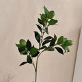 Artificial Lime Branch | High & Bury
