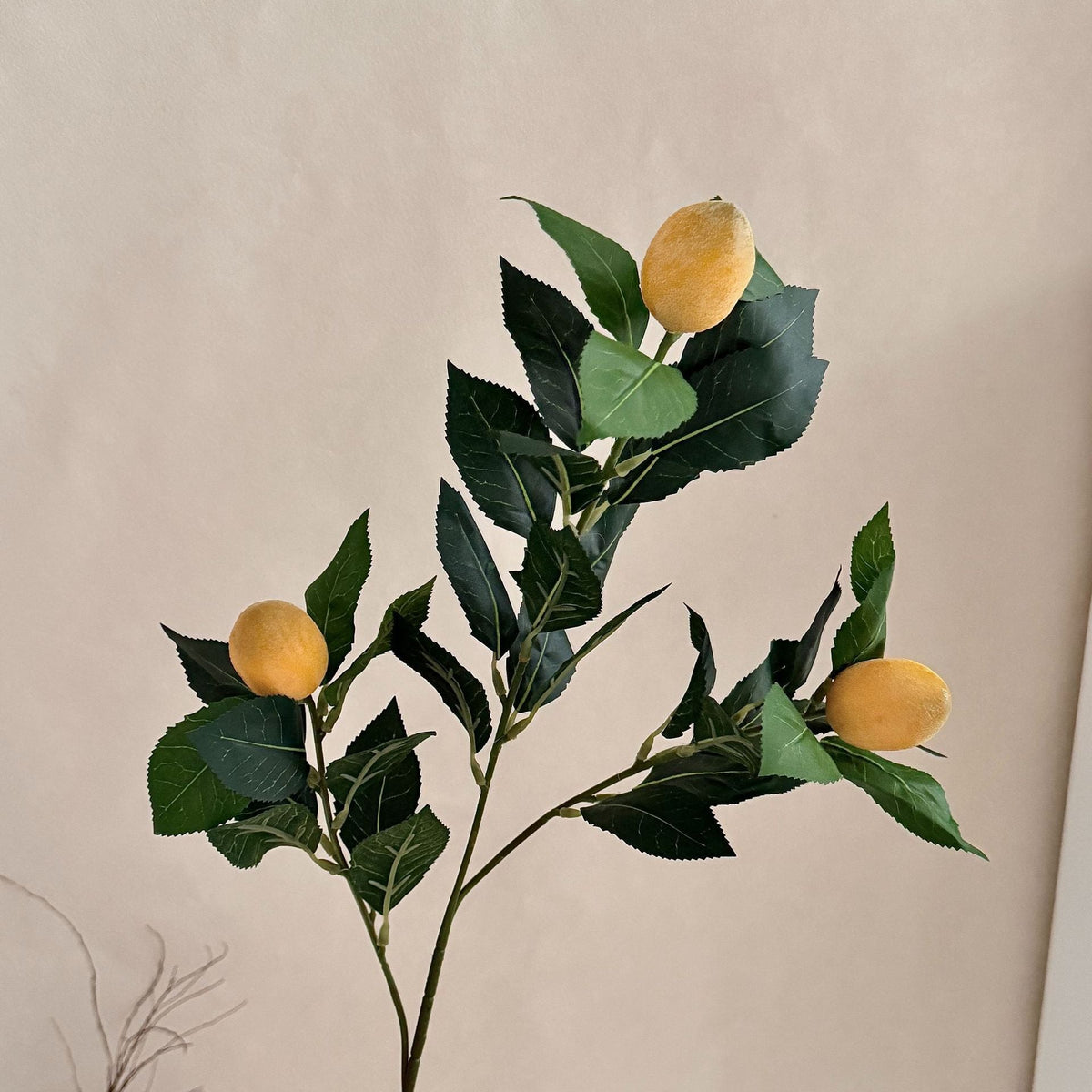 Artificial Lime Branch | High & Bury
