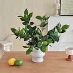 Artificial Lime Branch | High & Bury