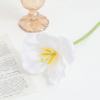 Artificial Orchid Flower Branch with Intricately Detailed Flowers | High & Bury