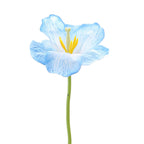 Artificial Orchid Flower Branch with Intricately Detailed Flowers | High & Bury