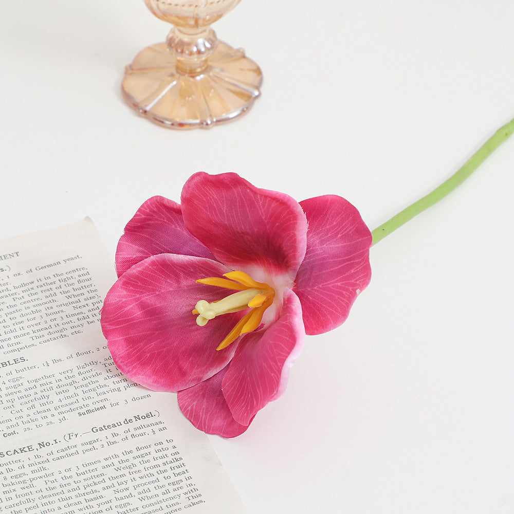 Artificial Orchid Flower Branch with Intricately Detailed Flowers | High & Bury