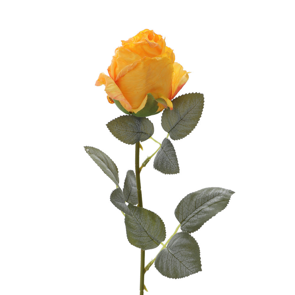 Artificial Rose Petal | High & Bury