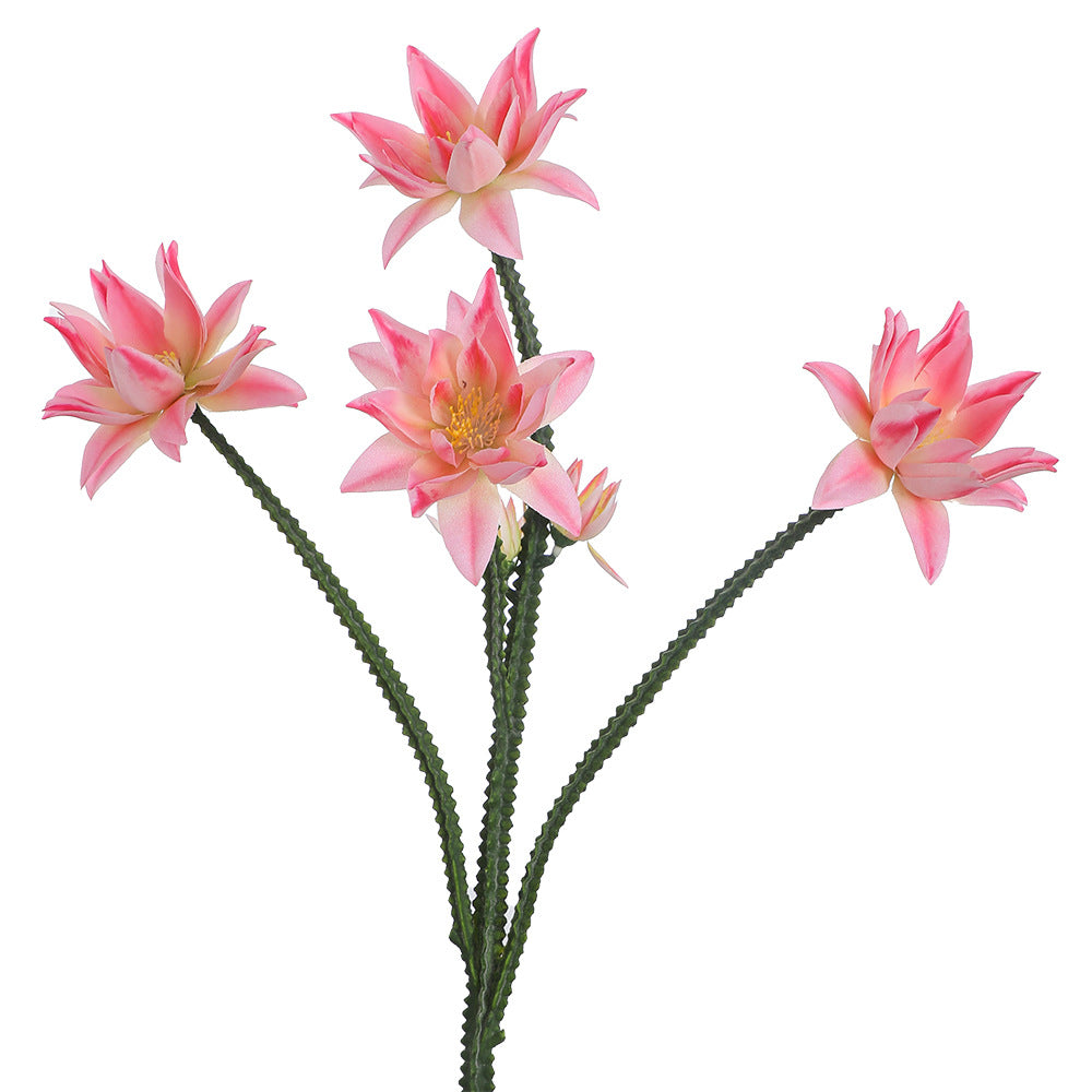 Artificial Water Lily | High & Bury