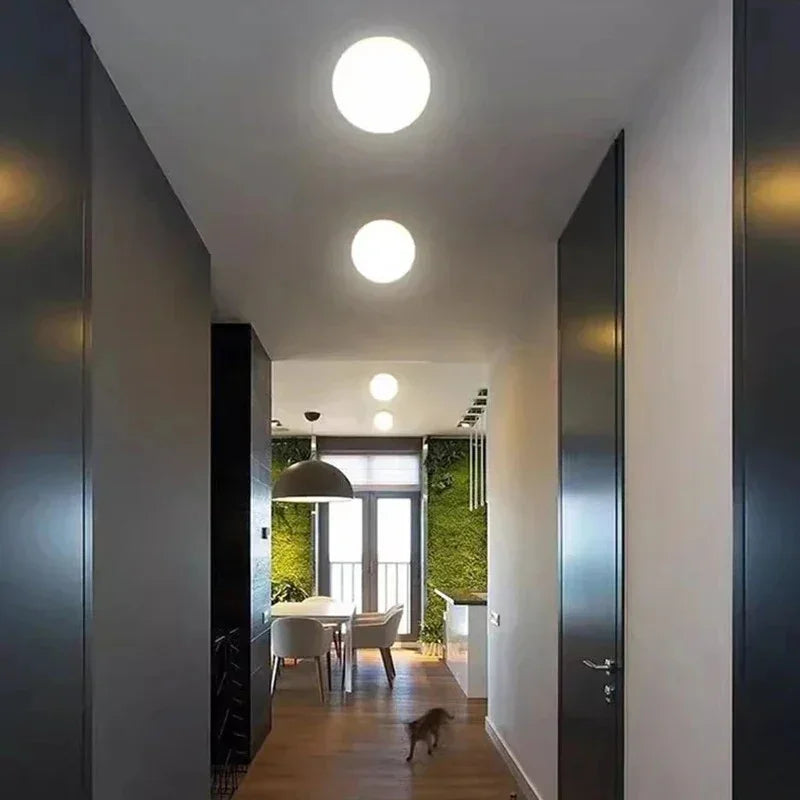 Ashmona Ceiling Lamp