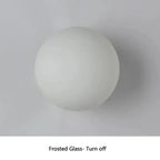 Ashmona Ceiling Lamp
