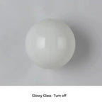 Ashmona Ceiling Lamp