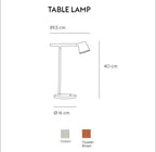 Ashvesa Desk Lamp