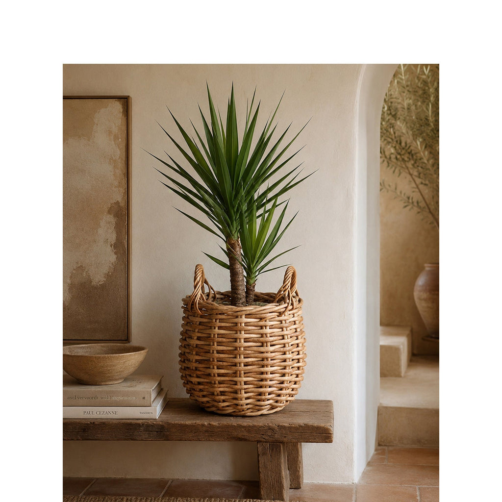 Basket for Stylish Storage | High & Bury