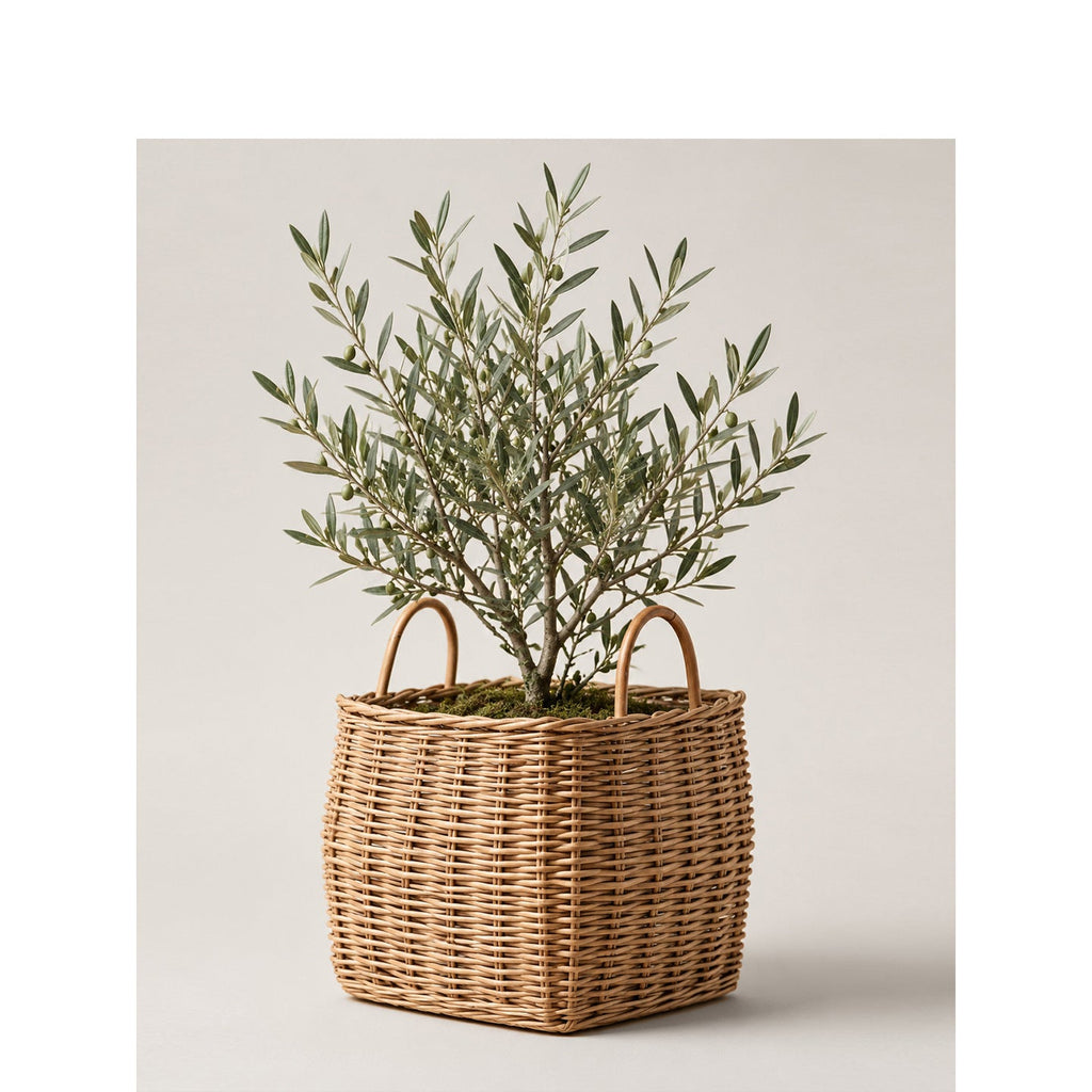 Basket for Stylish Storage Woven Natural Fiber | High & Bury
