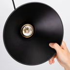 Bernyra Pendant Lights