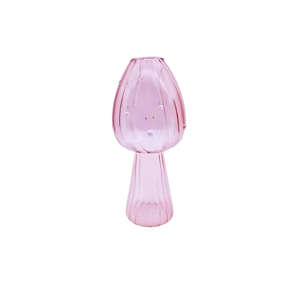 Bertia Vase Collection - Set of 5