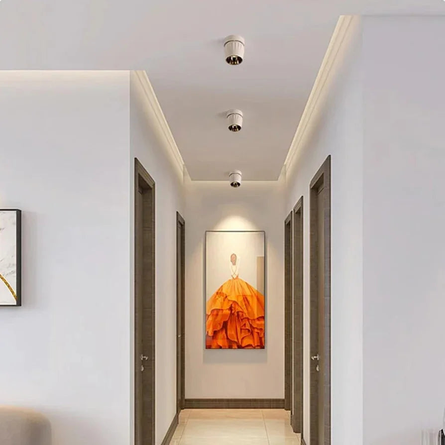 Bervira Spotlight