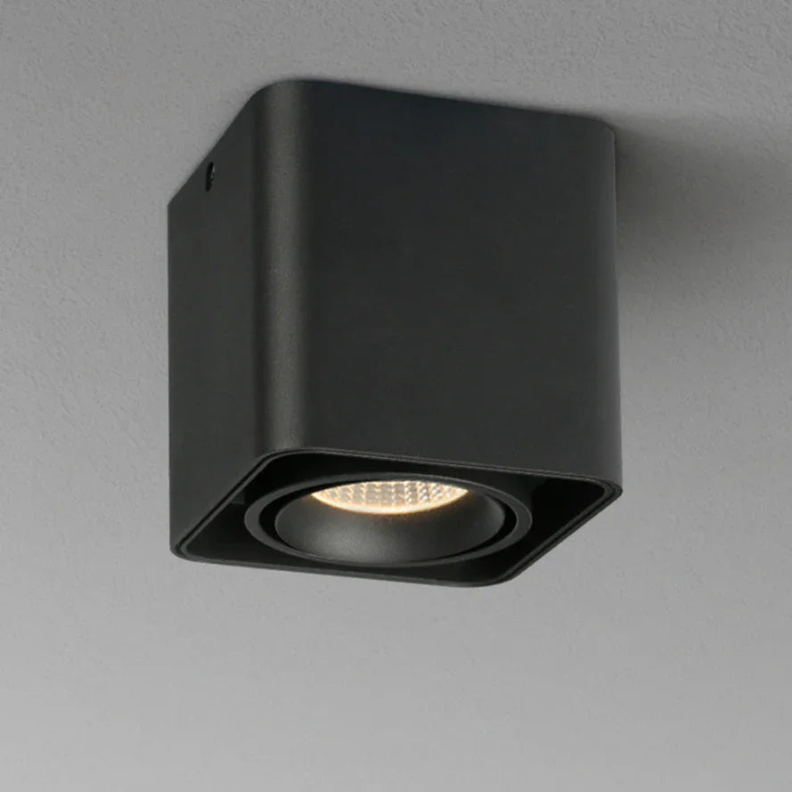 Birchwood Surface Mounted Downlight