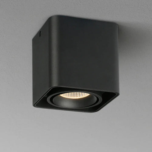 Birchwood Surface Mounted Downlight