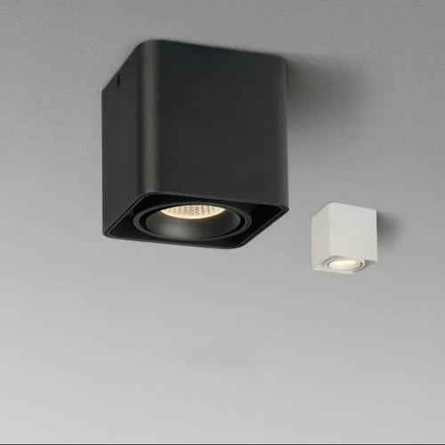 Birchwood Surface Mounted Downlight