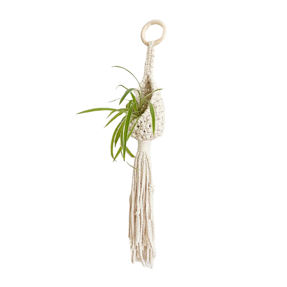 Bohemian Plant Holder | High & Bury