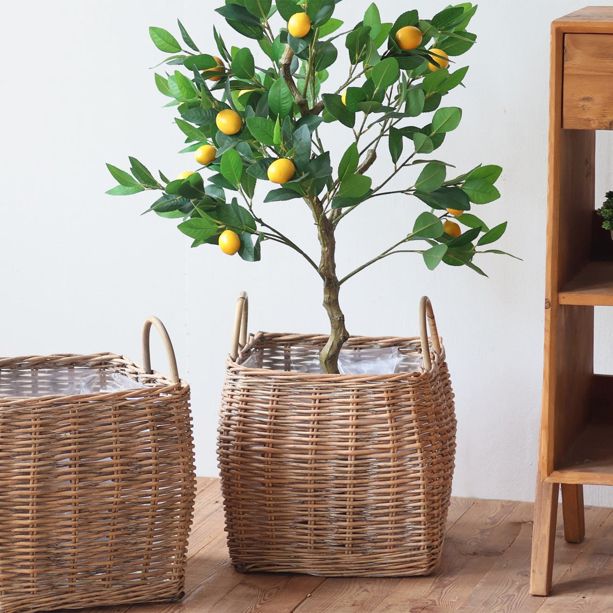 Braided Storage Basket | High & Bury