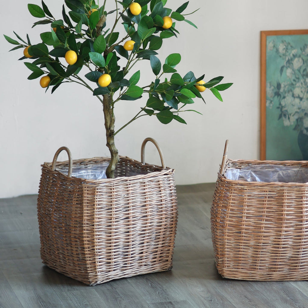 Braided Storage Basket | High & Bury