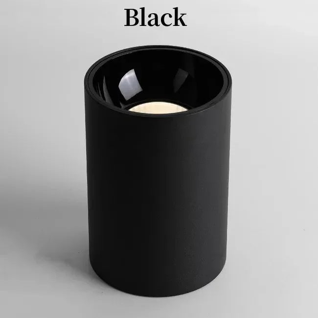 Brytuna Black & White Surface Mounted Downlight