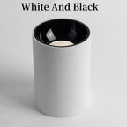 Brytuna Black & White Surface Mounted Downlight