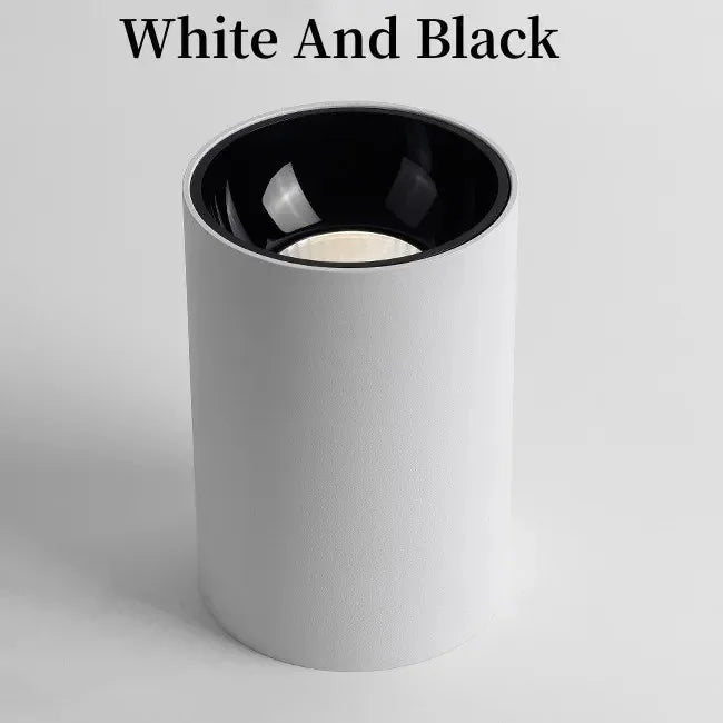 Brytuna Black & White Surface Mounted Downlight