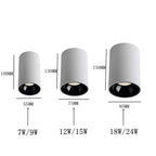 Brytuna Black & White Surface Mounted Downlight